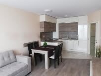 Обзаведен Двустаен апартамент, Левски