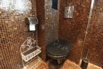 Обзаведен Двустаен апартамент, Лятно кино Тракия